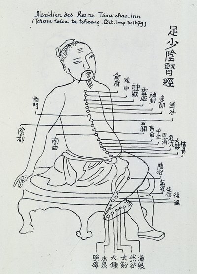 Çin akupunkturu: böbreklerin meridyeni by Unknown artist