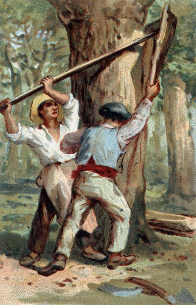 19. yüzyılın sonlarında kromolitografi. by Unknown artist