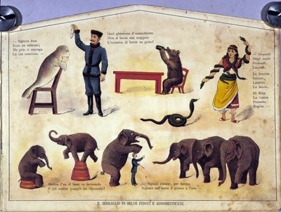 Sirk: mühürler, filler, ayılar, yılanlar içeren, öğrenilmiş hayvanların farklı türlerini temsil eden bir tahta. 19. yüzyılın çizimi by Unknown artist
