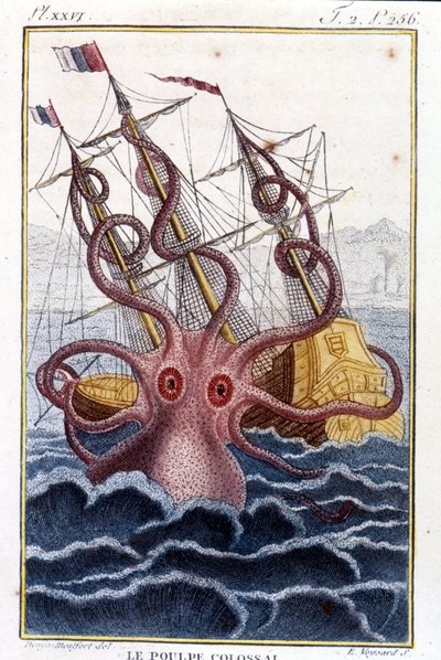 Devasa ahtapot (ahtapot, dev kalamar, kraken) bir gemiye (gemi, gemi) saldıran - Pierre Denys-Montfort (Denys de Montfort 1766-1820) kitabının gravürü “” Histoire naturelle des mollusques”, orijinal 1802 baskısı - by Unknown artist