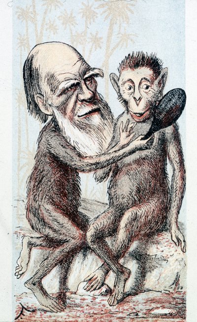 Darwin