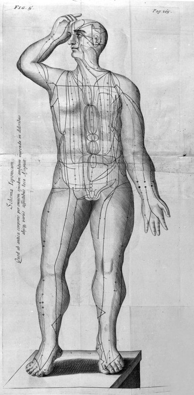 W.Ten Ren tarafından De Akupunktur. Londra 1683. Akupunktur ile ilgili ilk Batı metni. by Unknown artist