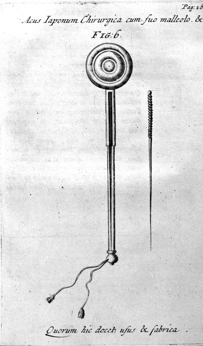 W.Ten Ren tarafından De Akupunktur. Londra 1683. Akupunktur ile ilgili ilk Batı metni. by Unknown artist