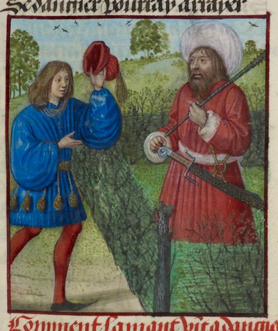 'Le Roman de la Rose'dan Tehlikeyi selamlayan Sevgili minyatürünün detayı by Unknown artist