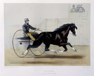 Dexter trotteur - “” Centaur” da by Unknown artist