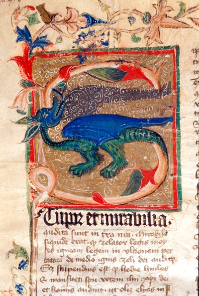 14. yüzyıl el yazması Dragon Decoree Lettrine Detay by Unknown artist