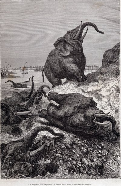 Sir Samuel White Baker tarafından görevlendirilen Orta Afrika seferi nedeniyle bir nehir kıyısına tırmanan filler, “Tour du monde” by Unknown artist