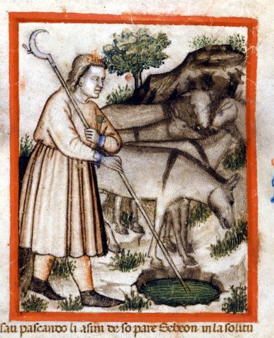 Esa eşekleri otlatıyor - Pentateuch. Codex 212