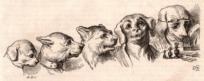 Bir köpeğin insan formuna evrimi by Unknown