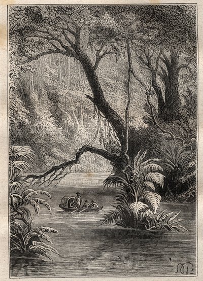 Alexander von Humboldt (1769-1859) ve Aime Bonpland (1773-1858) tarafından Amerika