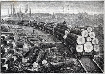 Amerika Birleşik Devletleri ormanlarının sömürülmesi. Ahşap raylı geçici demiryolları. Ağaç gövdeleri taşıyan vagonlar. “” La Nature” da gravür by Unknown artist
