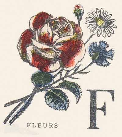 F: çiçekler by Unknown artist