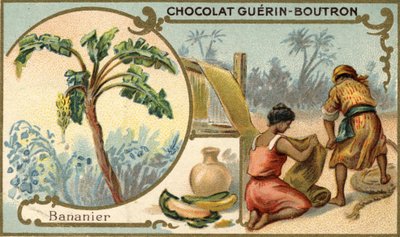 Muz kabuğu lifi ile yapılan kumaş. Kromolitografi, Guérin Boutron çikolatalarının ambalajlanması. by Unknown artist