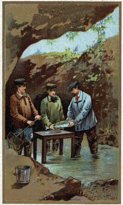 Balık yetiştiriciliği: suni döşeme. 19. yüzyılın sonundan itibaren kromolitografi by Unknown artist