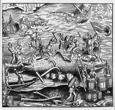 Balıkçılık ve balina avcılığı, Thevet'in “Evrensel Kozmografisi”nden bir ahşap oymaya dayalı. Paris 1575 by Unknown artist