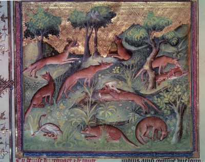 Tilki avcılığı kümes hayvanları. Gaston Phoebus (1331-1391) ve Gaston III Comte De Foix tarafından yazılan “Av Kitabı” (folio 34v) adlı el yazmasından minyatür by Unknown artist