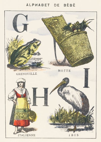 G H I: kurbağa, başlık, italyanca, ibis by Unknown artist