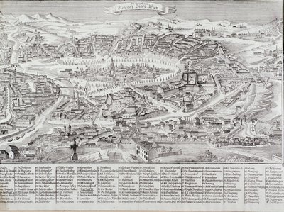Ana bina ve anıtların detayları ile Viyana şehrinin genel görünümü. 1800 Özel Koleksiyondan Avusturya Gravürü by Unknown artist