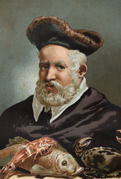 Guillaume Rondelet doğa bilimci ve Fransız tıbbı. 1507-1566.Sonra Bilim ve Adamları, Louis Figuier. Barselona 1881 by Unknown artist