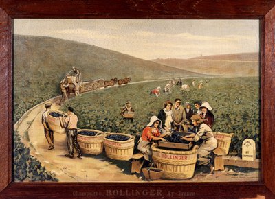Bollinger