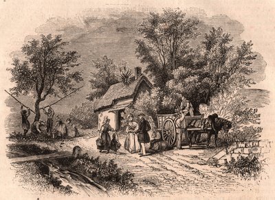 Normandiya, Fransa'da elma hasadı by Unknown