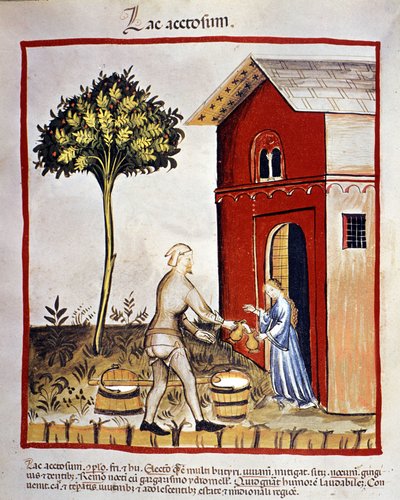 Süt ürünlerinin tarihçesi: yoğurt dağıtımı (asetosium gölü). “Tacuinum sanitatis”ten aydınlatma by Unknown artist