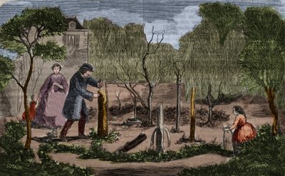 Bahçıvanlık: ana bitki nakli yöntemleri. 1860 gravür. by Unknown artist