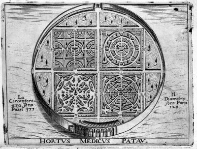 Padua Bahçesi: Padua Tıp Bahçesi. by Unknown artist