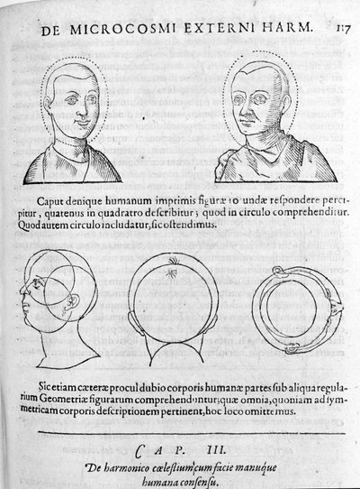Robert Fludd (Robertus de Waves) tarafından "Collectio Operum"dan fizyonominin görüntüsü. Londra 1617 by Unknown artist