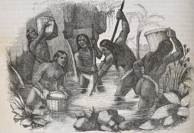 Hispaniola Adası