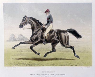 Inkerman - “The Centaur” da” by Unknown artist