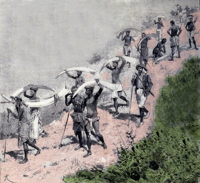 Fildişi ticareti: Kongolu gemilerin kervanı fil savunması taşır. 19. yüzyıl gravürü by Unknown artist