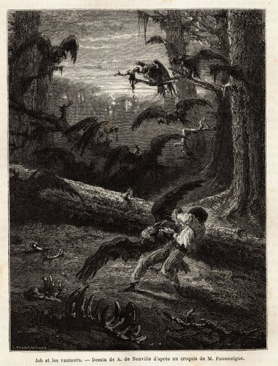 İş (redaktörün yol arkadaşı), akbabalar tarafından saldırıya uğradı. Quatre mois en Florida hikayesini göstermek için gravür, 1851-1852