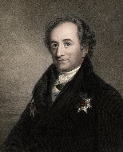Johann Wolfgang Goethe 1749-1832 - gravür - 19. yüzyıl by Unknown artist