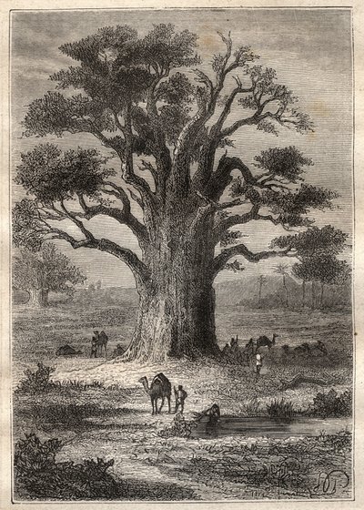 Yolculuk (1798) Frederic Conrad (Konrad) Hornemann (1772-1801) tarafından Fezzan
