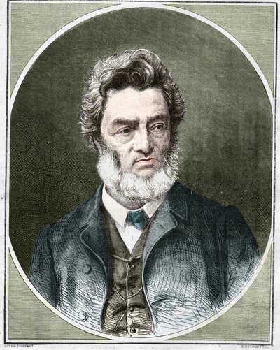 Jules Favre (1809-1880), Fransız politikacı ve hukukçu. by Unknown artist