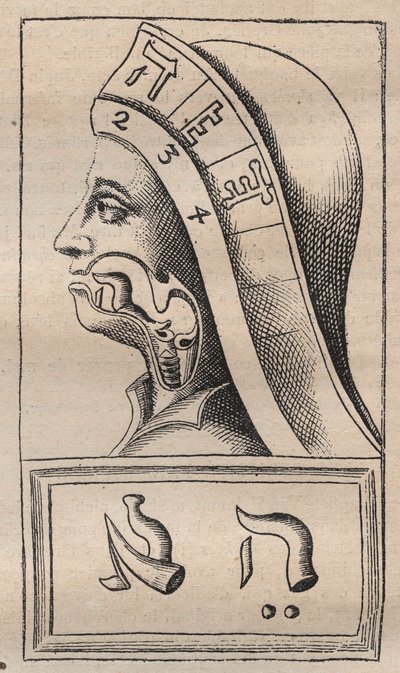 Kabala - Kabbalale - Örnekleme: Franciscus Mercurius van Helmont