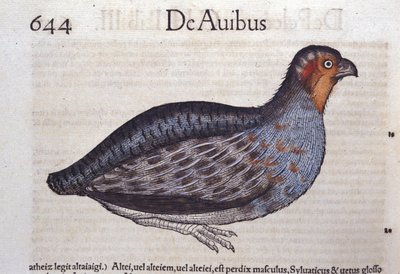 Historia Animalium