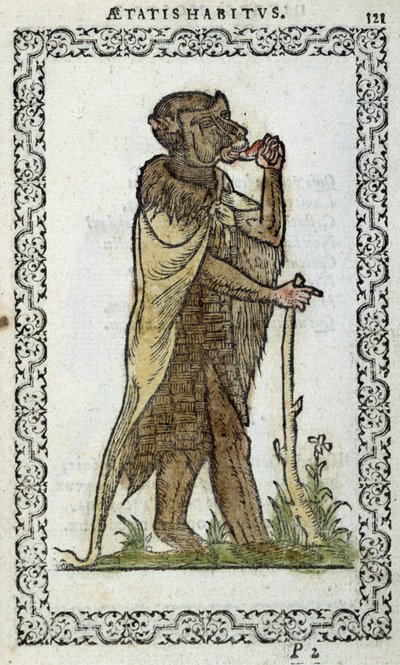 Ayakta duran monge - Jean Sulperius