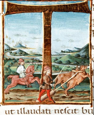 Bir binicinin ve bir öküz eğitmeninin Lettrine T dekoru - Virgil (Publius Vergilius Maro) (M.Ö. 70-19) (Ms IV E.12) tarafından “” The bucoliques” (Eglogues) adlı eserden alınan minyatür. 15. yüzyıl Napoli, Biblioteca Nazionale by Unknown artist