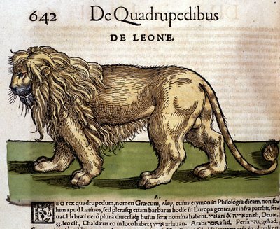 Conrad Gesner tarafından Historia Animalium