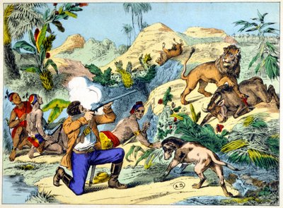 Güney Afrika