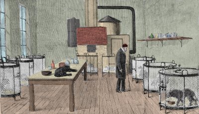 Louis Pasteur (1822-1895), Paris