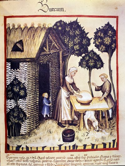 Tereyağı imalatı. İlaç ve diyetetik sağımlarından aydınlatma “” Tacuinum sanitatis”” by Unknown artist
