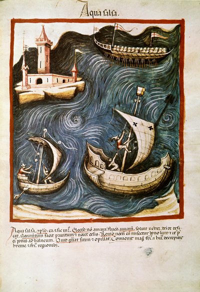 İlaç ticareti: “” tuzlu su”” “” Tacuinum sanitatis””ten alınan sayfa (Cod. ser. nov. 2644) Yaklaşık 1400 Viyana, Osterreischische Nationalbibliothek by Unknown artist