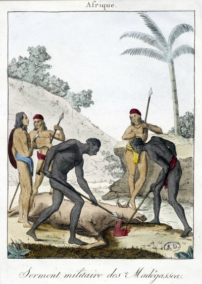 Madagaskar sakinlerinin askeri yemini (bir öküzü öldürdü) - grv. 1811 by Unknown artist