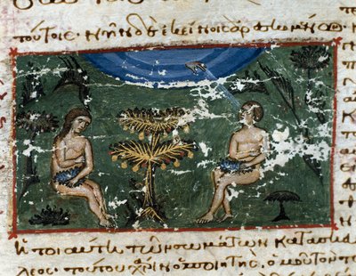 “Codex de l