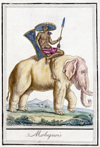 Bir filin üzerindeki Molucquois adam (Molucca Adaları, Endonezya). by Unknown artist