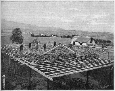 1888