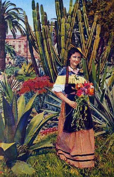 Nicoise. 1930 civarında bir kartpostal. Nice Belediye Arşivi. by Unknown Artist